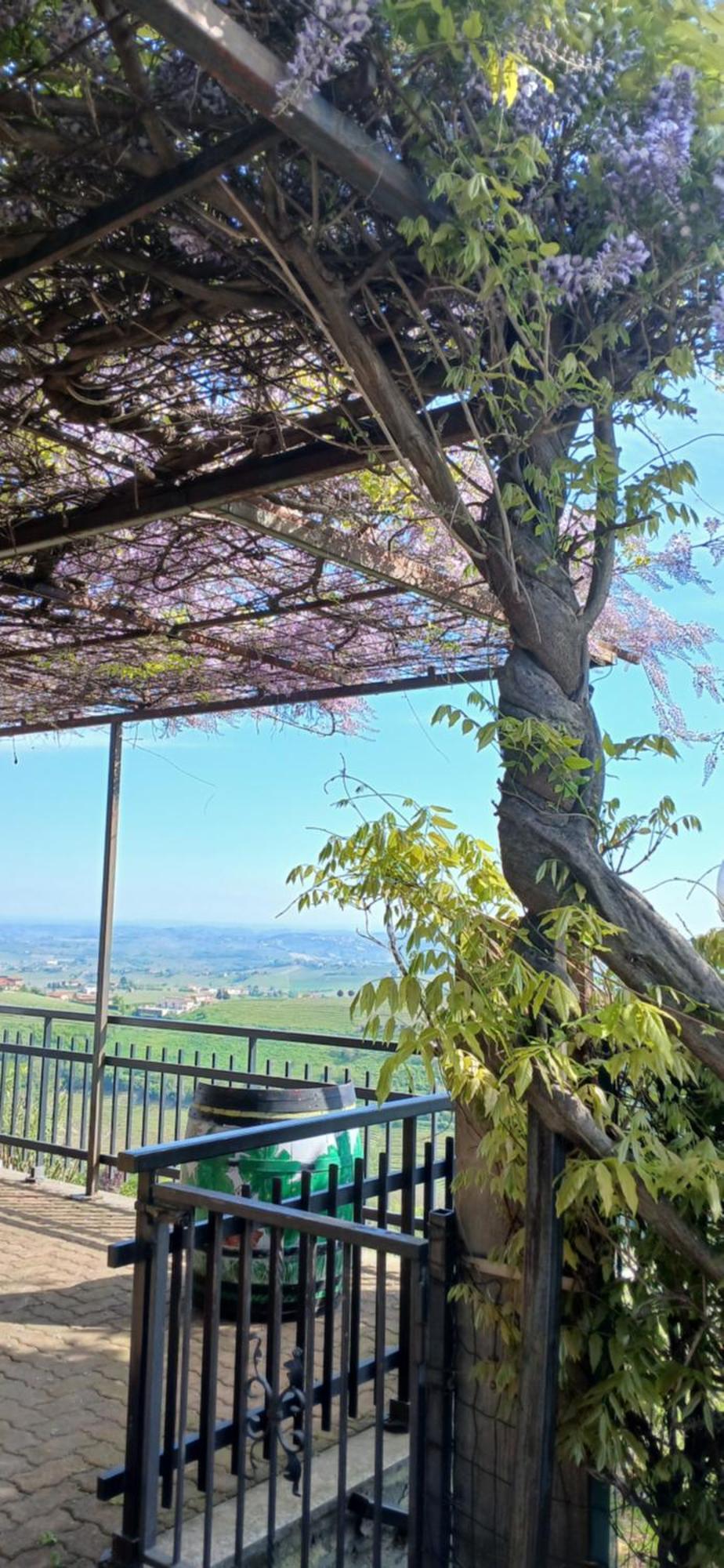 Casa Vacanza Il Colle Del Vento Calosso Eksteriør billede